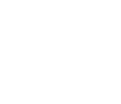 Organisatie